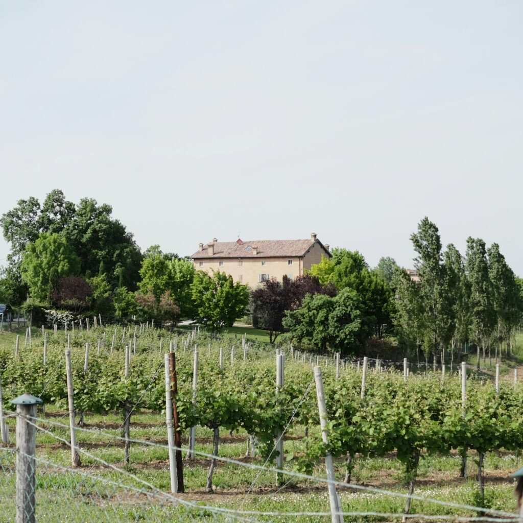 Domaine viticole Varois