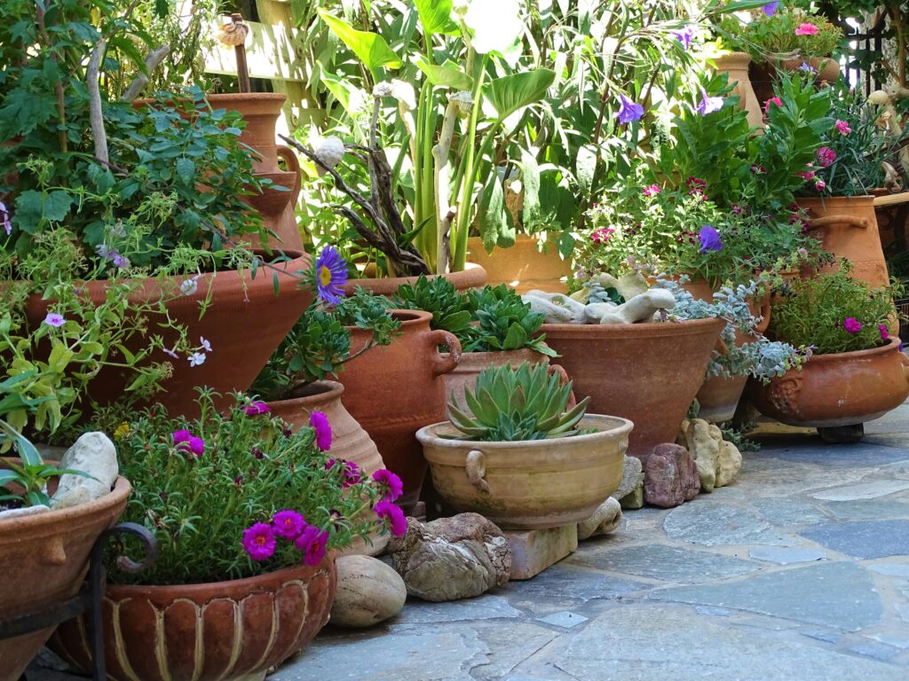 Pots en terre cuite et jarres d'argile garnis de plantes grasses et de fleurs colorées sur une terrasse en dalles de pierre.